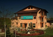 Ingrijiri paliative, analize, recuperare medicala in Iasi