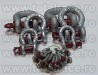 Chei tachelaj G209, echipamente de ridicat CrosbyÂ®