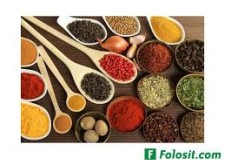 fabrica condimente olanda