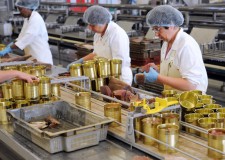 fabrica de conserve germania