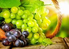 sortat struguri germania