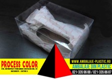 Cutii din plastic pentru pantofi Process Color