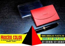 Cutii pentru carti de vizita Process Color