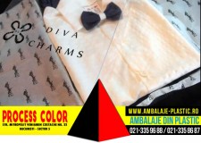 Cutii pentru costumase copii Process Color