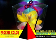 Cutii pentru flori Process Color