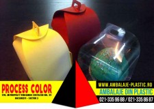 Cutiute pentru produse cosmetice Process Color