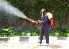 Servicii de dezinsectie, dezinfectie, deratizare