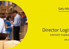 Sef Departament Logistica, Satu Mare