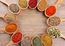 fabrica de condimente in olanda