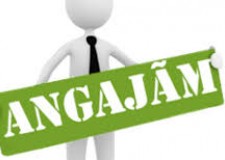 fabrici si agricultura strainatate