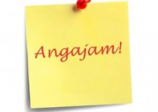 ferme de animale si agricultura in germania