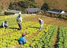 agricultura in germania