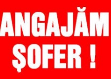 sofer categoria b in germania