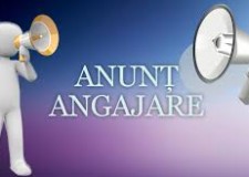 fabrici si agricultura strainatate