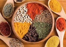 fabrica de condimente olanda