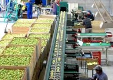 depozit de mere germania