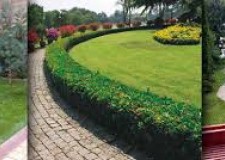 intretinere spatii verzi germania