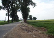 Afumati Soseaua Petrachioaia  8500mp