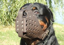 Botnita piele rottweiler