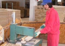 Dulgher, tÃ¢mplar, parchetar