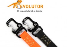 Lesa Evolutor pentru caini