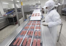 fabrica de mezeluri germania