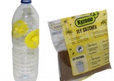 CapcanÄƒ pentru muÈ™te - faceÈ›i singuri + momealÄƒ