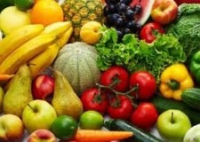 agricultura olanda,germania,austria