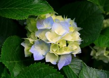 Oferte pentru oameni harnici in domeniul hotelier