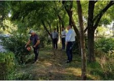 intretine spatii verzi germania