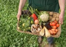 agricultura in germania