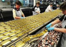 fabrica de conserve germania