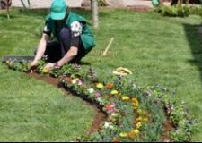 spatii verzi germania