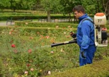 spatii verzi germania