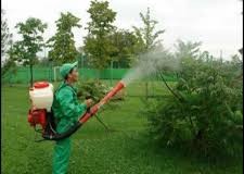 spatii verzi in germania