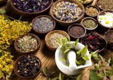 sera de plante medicinale germania