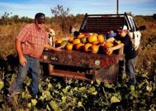 FinanÈ›e agricole fiabile