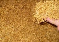 Tutun tocat si firicel