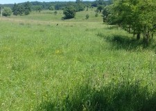 parcele teren intravilan langa padure zona deal