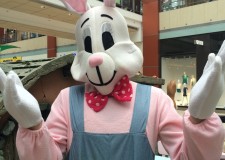 Mascota Iepuras- cel mai iubit personaj al primaverii- 0762649069