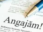 Mecanic auto la service multimarca.