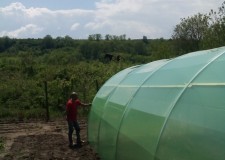 kit solar legume si flori 10 m lungime /4 m deschidere/ 2,6 m inaltime