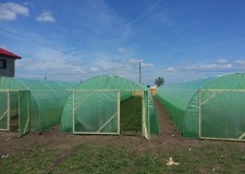 kit solar legume si flori 24 m lungime /4 m deschidere/ 2,6 m inaltime