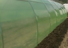 kit solar legume si flori 28 m lungime /4 m deschidere/ 2,6 m inaltime