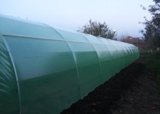 kit solar legume si flori 30 m lungime /4 m deschidere/ 2,6 m inaltime