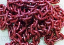 Carlige, lanturi, echipamente de ridicat din lant grad 100