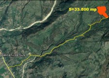 Ofer in arenda 33.800 mp  livada pruni in comuna