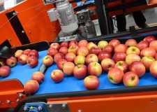 anglia depozit de mere