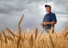 Curs LucrÄƒtor Ã®n cultura plantelor