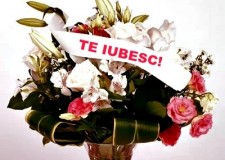 Imprimanta panglica pt.buchete flori